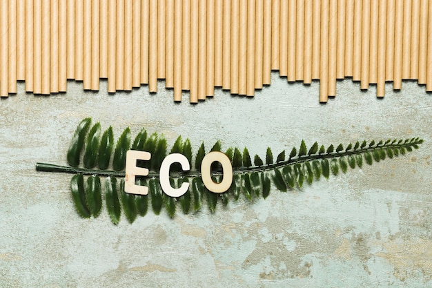 Transform Your Home with These 5 Eco Friendly Mate.jpg